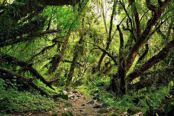 5 Days Ghale Gaun Village Homestay Hike - Additional Inclusions and Services