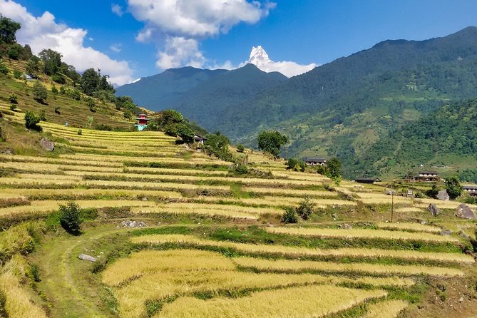 5 Days Ghorepani Poonhill Sunrise Trek - Trek Itinerary Overview