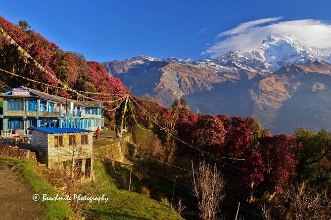 5 Days Ghorepani Poonhill Trek - Trek Itinerary