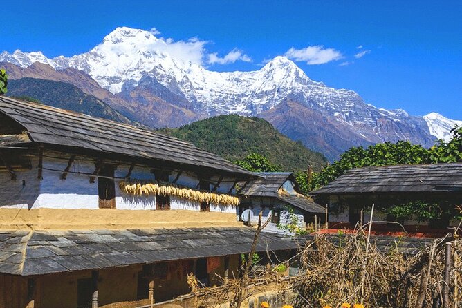 5 Days Ghorepani Poonhill Trek - Accommodation