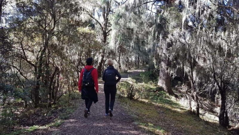 5 Days Glimpse of Bhutan - Who Will Love This Tour?