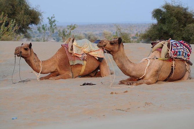 5 Days Golden Triangle Tour With Pushkar - Tour Itinerary Highlights