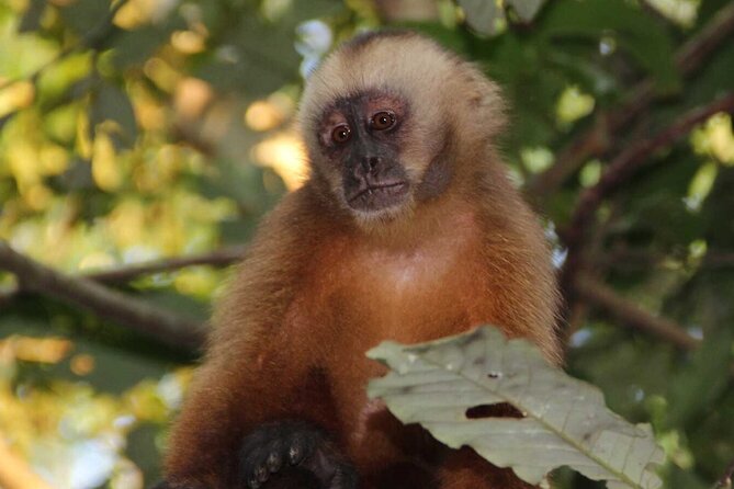 5 Days Guided Manu Amazon Tour - Accommodation Details