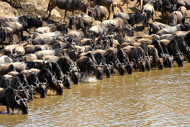 5 Days Hells Gate, L. Naivasha, L. Nakuru & Masai Mara Luxury Safari - Frequently Asked Questions