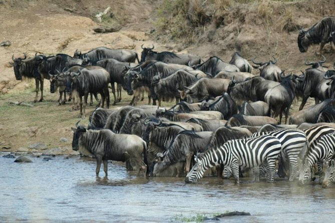 5 Days Highlights of Kenya - Day 1: Nairobi City Tour