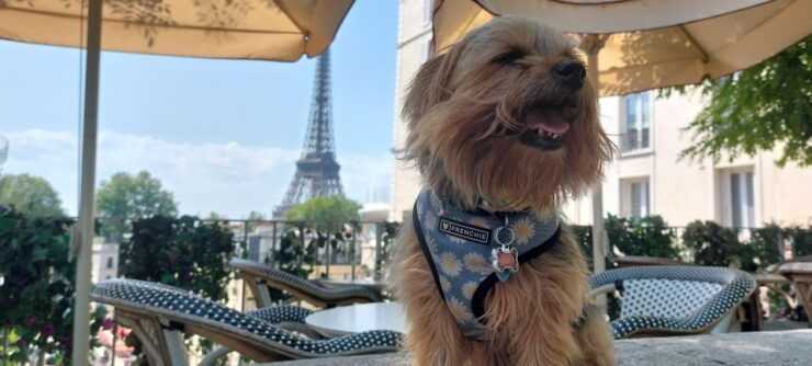 5 Days in Paris: Guided Trip (Complete Package)-Single Room - Experience Highlights