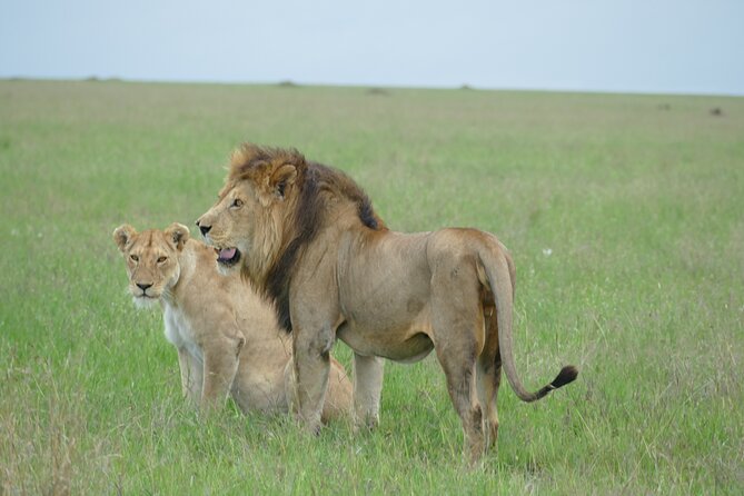 5 Days in to the Heart of Serengeti - Frequently Asked Questions