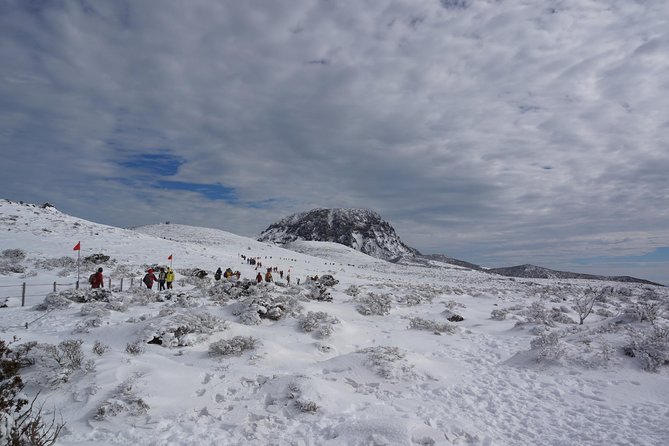 [5-Days Jeju] Private Customized Hiking(Hallasan & Olle Course) With Mountaineer - Discover the Scenic Olle Courses
