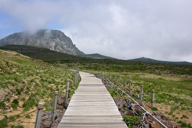 [5-Days Jeju] Private Customized Hiking(Hallasan & Olle Course) With Mountaineer - Enjoy a Private Guided Tour