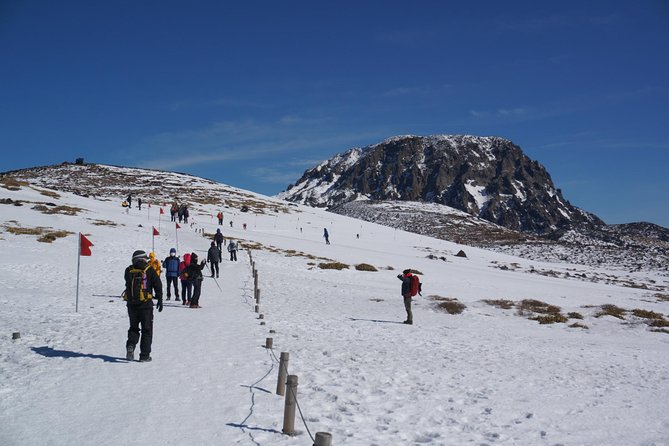 [5-Days Jeju] Private Customized Hiking(Hallasan & Olle Course) With Mountaineer - Experience the Natural Wonders of Jeju Island