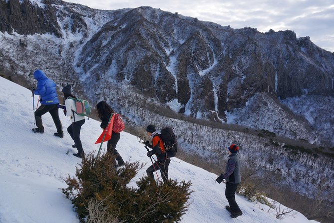 [5-Days Jeju] Private Customized Hiking(Hallasan & Olle Course) With Mountaineer - Create Unforgettable Memories on Your Jeju Hiking Journey
