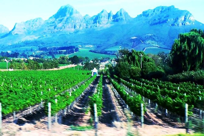 5 Days Johannesburg and Cape Town Tour - Best 5 Days Tour - Booking and Pricing Information
