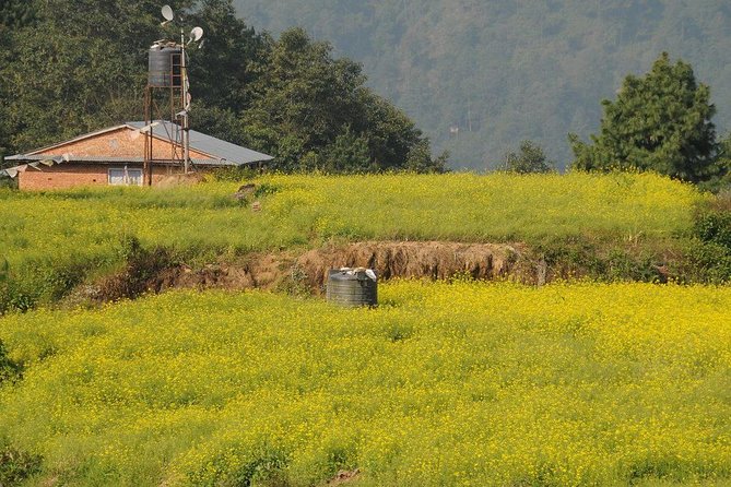 5 Days Kakani Village Homestay Hike - Exclusions