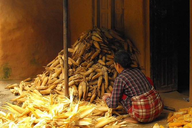 5 Days Kakani Village Homestay Hike - Meeting and Pickup