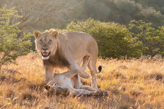 5 Days Kenya Masai Mara and Lake Nakuru Private Tour - Cancellation Policy