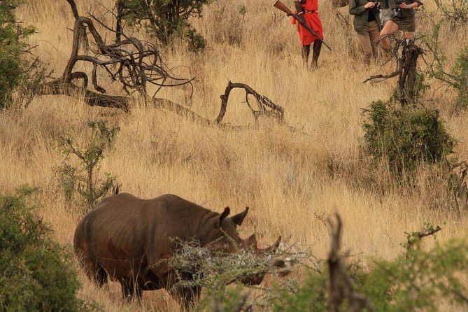 5 Days Kenya Masai Mara and Lake Nakuru Private Tour - Reviews