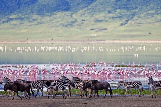 5 Days Kenya Masai Mara and Lake Nakuru Private Tour - Frequently Asked Questions