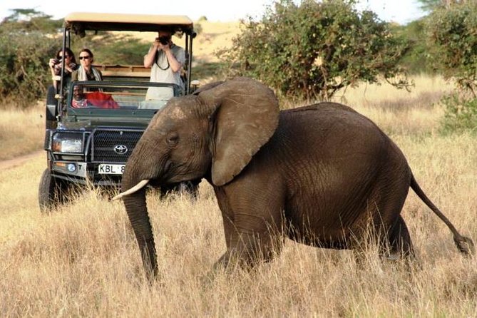 5 Days Kenya Masai Mara and Lake Nakuru Private Tour - The Sum Up
