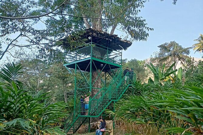 5 Days Kerala Luxury Tour Hills Beaches Houseboat and Heritage - Practical Aspects and Travel Tips