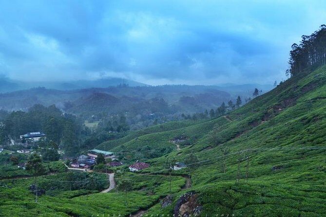 5 Days Kerala Tour Package With 4 Star Stays & Private Houseboat - The Sum Up