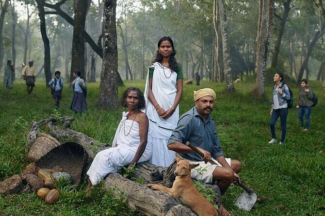 5 Days Kerala Tour with Private Car Houseboat Munnar and Thekkady - Exploring Kerala in 5 Days: A Detailed Review of the Private Tour with Houseboat and Hill Stations