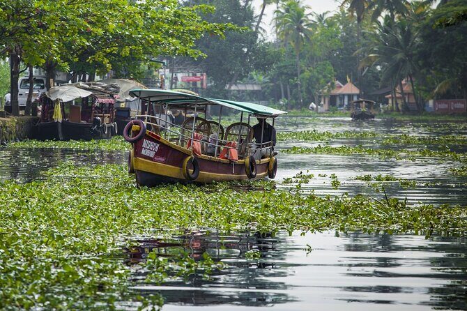 5 Days Kerala Tour with Private Car Houseboat Munnar and Thekkady - Good To Know