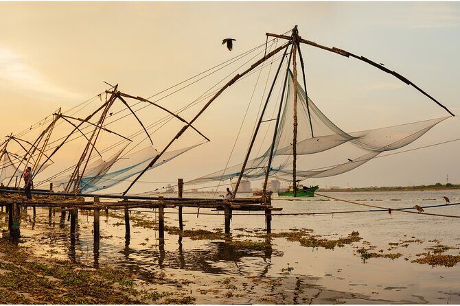 5 Days Kerala Tour with Private Car Houseboat Munnar and Thekkady - Practical Aspects and Value