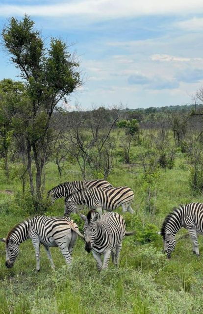 5 Days-Kruger Park and Panorama Route Tour From Johannesburg - The Sum Up