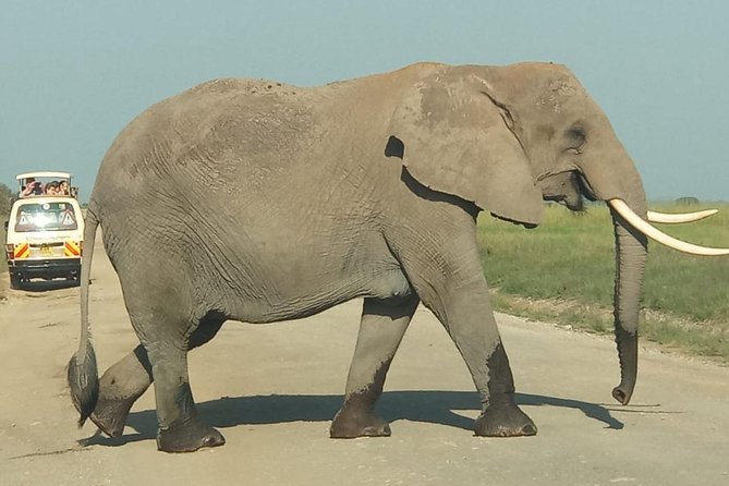 5 Days Lake Mnayara - Serengeti - Ngorongoro - Tarangire Camping Group Safari - Inclusions and Exclusions