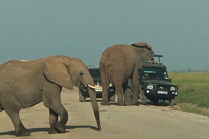 5 Days Lake Mnayara - Serengeti - Ngorongoro - Tarangire Camping Group Safari - Pickup and Drop-off Information