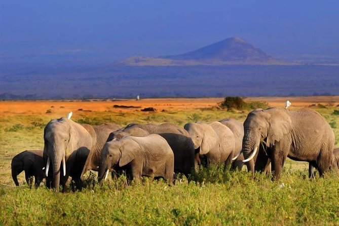 5 Days Maasai Mara, Lake Nakuru, Samburu Private Lodge Safari - Itinerary Details