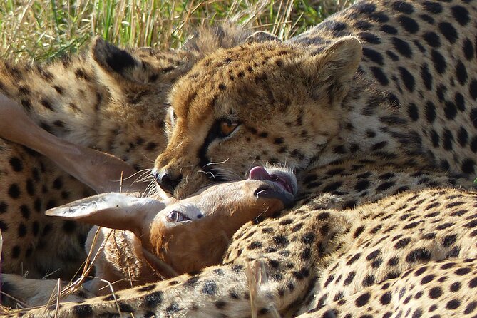 5 Days Magical Kenya Safari Private Tour - Additional Details