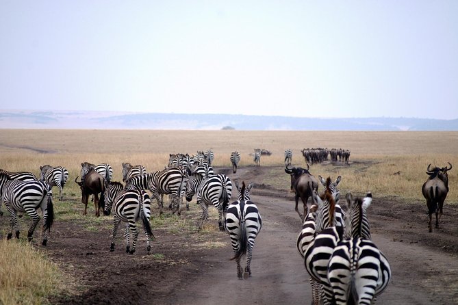 5 Days Mara, Nakuru, Sweetwaters - Good To Know