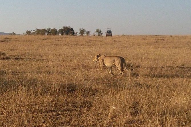 5 Days Mara, Nakuru, Sweetwaters - Important Considerations