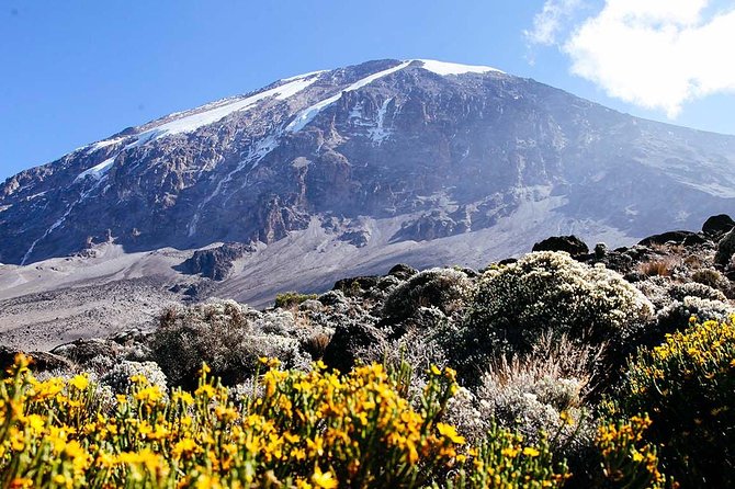 5 Days Marangu Route - Mount Kilimanjaro Trek - The Sum Up