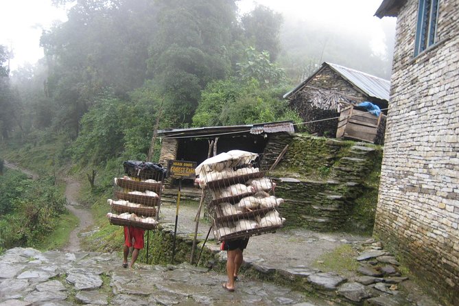 5 Days Mardi Himal Base Camp Trek - Meeting and Pickup