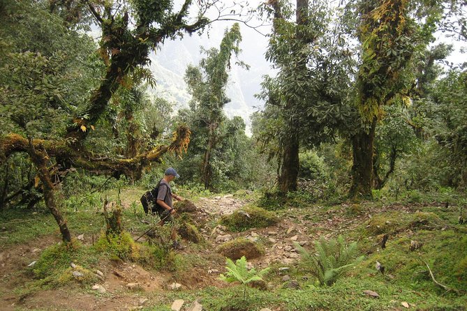 5 Days Mardi Himal Base Camp Trek - Day 2: Pothana to Low Camp