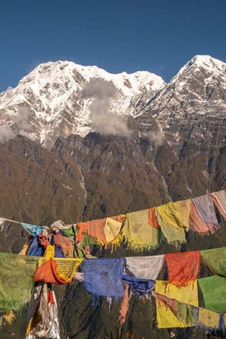 5 Days Mardi Himal Trekking (From Kathmandu by Flight - Inclusions