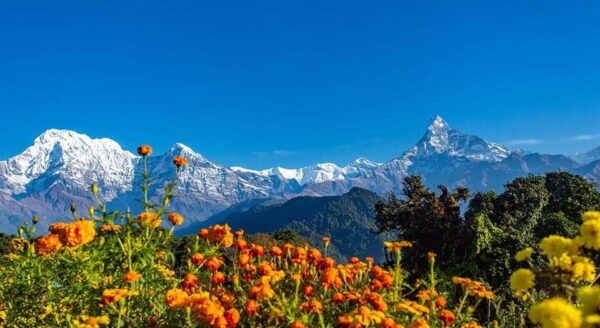 5 Days Mardi Himal Trekking (From Kathmandu by Flight - Questions You May Have