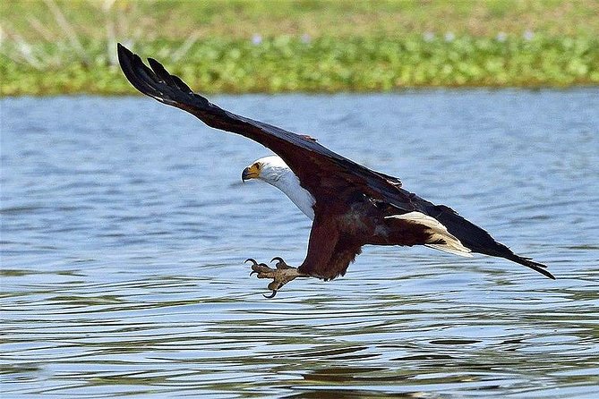 5 Days Masai Mara, Lake Nakuru & Hells Gate Safari From Nairobi - Meals and Dining Experience