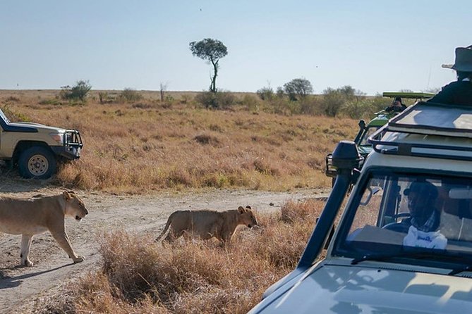 5-Days Masai Mara- Lake Nakuru - Lake Naivasha Kenya Safari Tour - Inclusions and Optional Activities