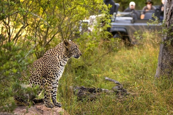 5-Days Masai Mara- Lake Nakuru - Lake Naivasha Kenya Safari Tour - The Sum Up