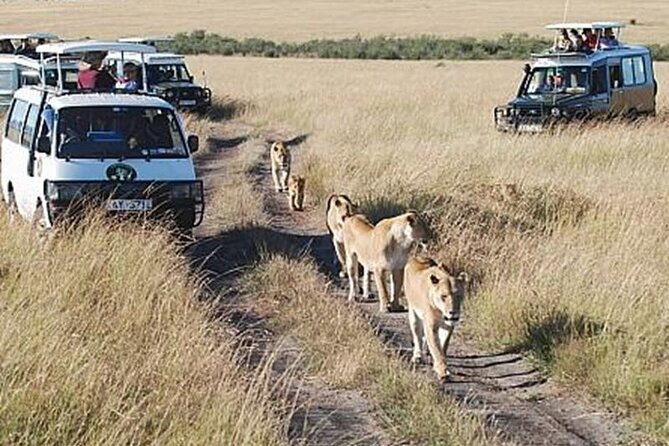 5-Days Masai Mara & Lake Nakuru Lodge Safari - Transportation Details