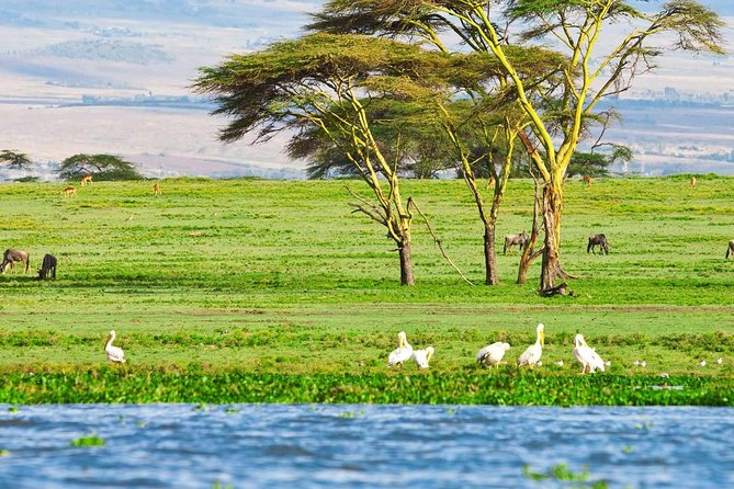5 Days Masai Mara & Lake Nakuru Mid Range Private Safari - The Sum Up