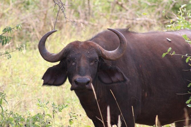 5 Days Masai Mara Safaris + Lake Nakuru - Booking Information