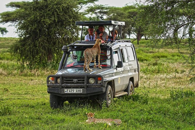 5 Days Mikumi, Ruaha And Udzungwa From Dar Es Salaam - Good To Know