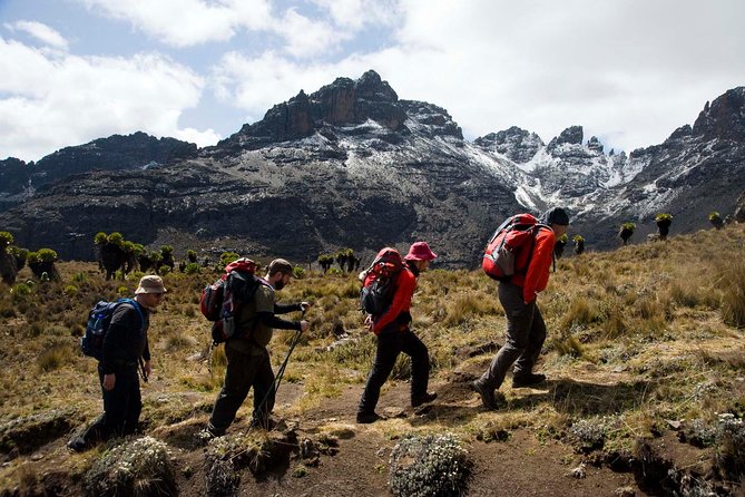 5 Days Mount Kenya Climbing via Sirimon Route - Day 5: Summit Attempt and Descent