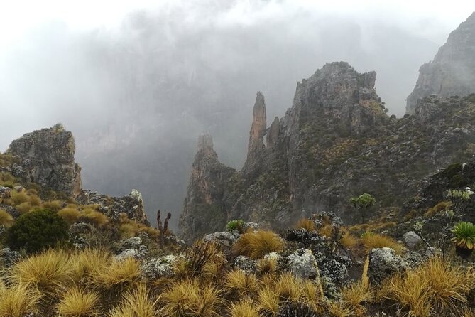 5 Days Mount Kenya Trek Using Sirimon and Chogoria Routes - Good To Know