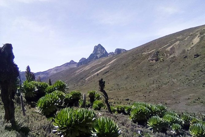 5 Days Mount Kenya Trekking Through Sirimoni-Chogoria Route - Good To Know