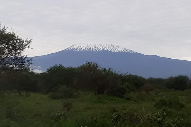 5 Days Mt.Kenya Climbing Chogoria Gate Down Sirimon Route - Essential Tips for Climbing Success